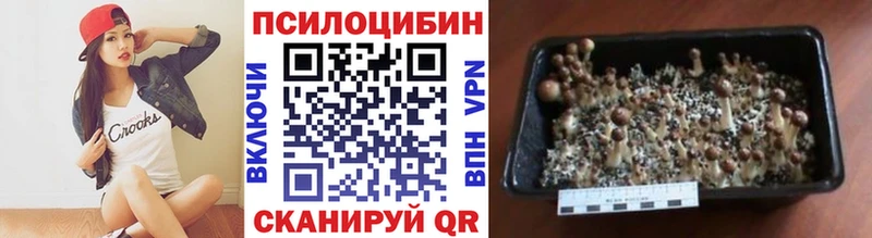 Псилоцибиновые грибы прущие грибы  Жигулёвск 