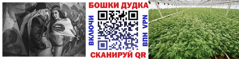 kraken вход  Жигулёвск  Марихуана White Widow 
